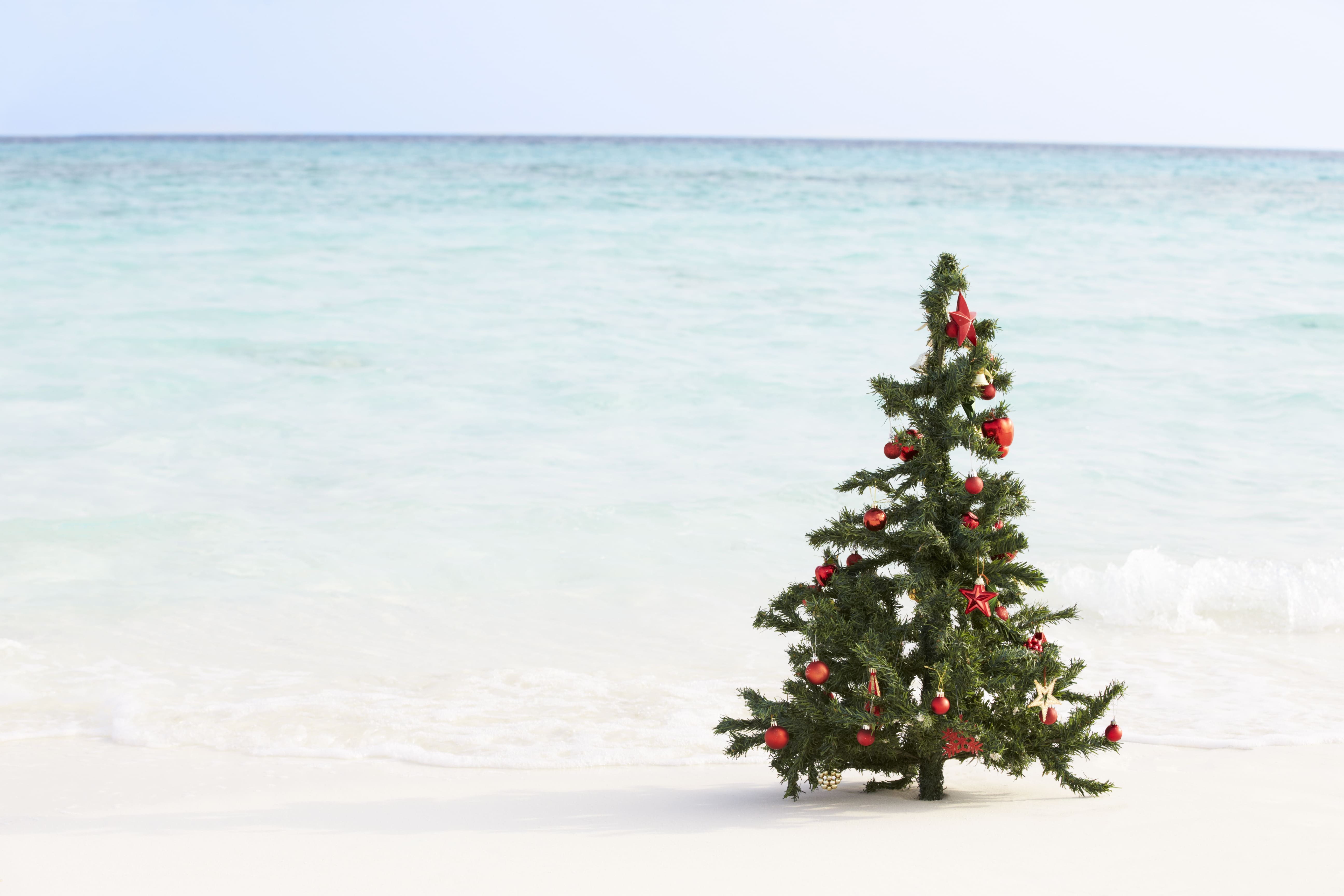 christmas-tree-on-beautiful-tropical-beach-2024-10-20-00-58-26-utc_2