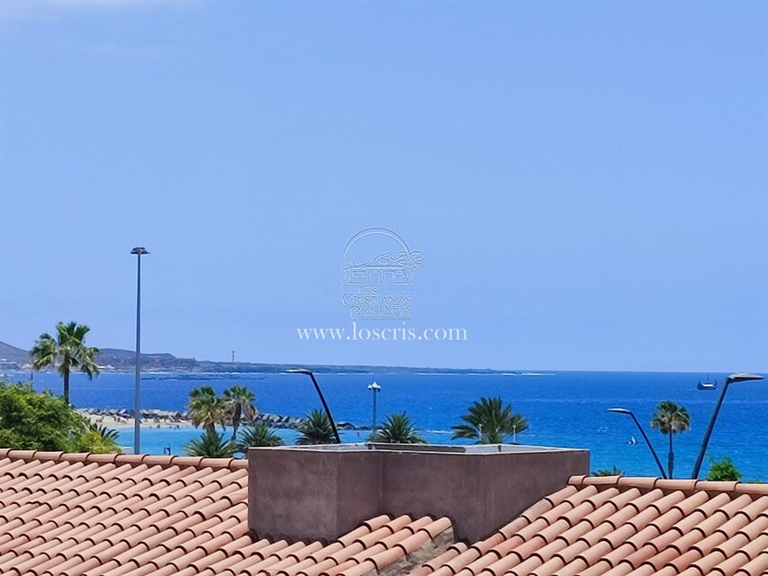 15306_107.JPG