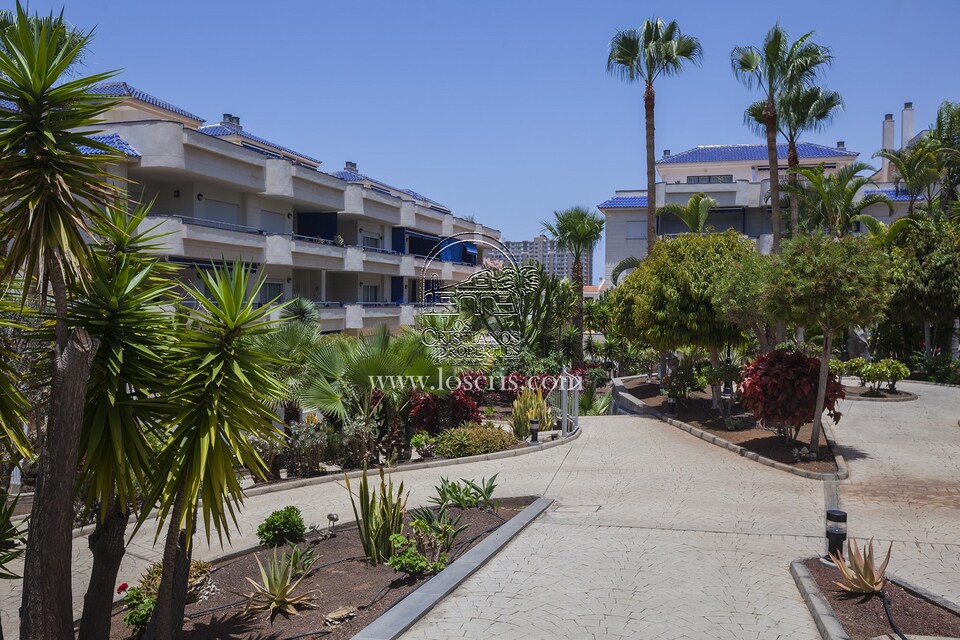 PLAYA_GRACIOSA_II__1_.JPG