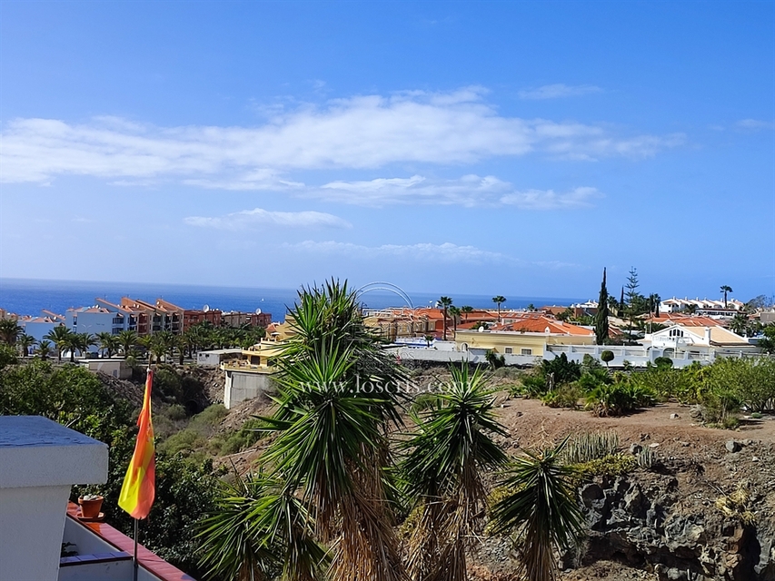 15276_15.JPG