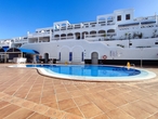 ROYAL_PALM__19_.JPG