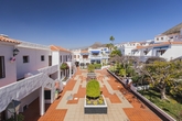 ROYAL_PALM__8_.JPG