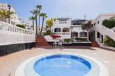 ROYAL_PALM__28_.JPG